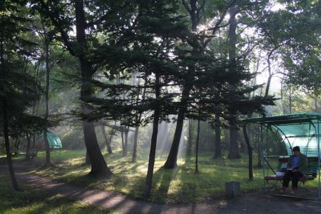 Внешний вид