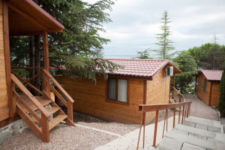 Территория