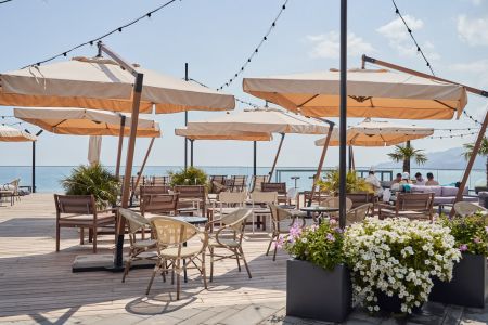 63. Зоопарк отеля. Попугаи-min