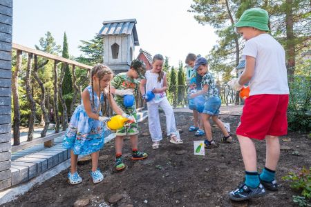 63. Зоопарк отеля. Попугаи-min