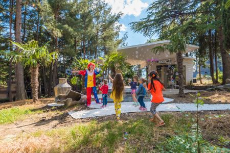 63. Зоопарк отеля. Попугаи-min