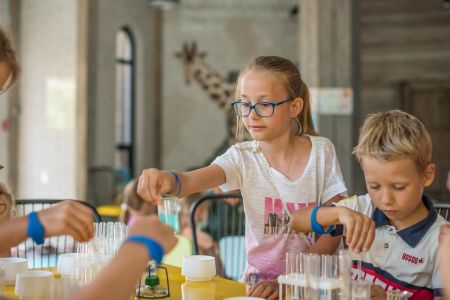 63. Зоопарк отеля. Попугаи-min