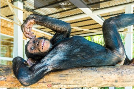 34. Пляж. Водные аттракционы-min