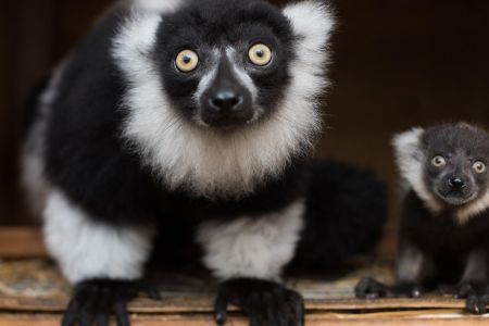 34. Пляж. Водные аттракционы-min