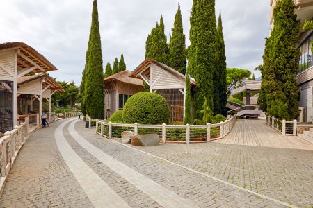 63. Зоопарк отеля. Попугаи-min