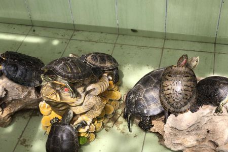 Внешний вид корпуса