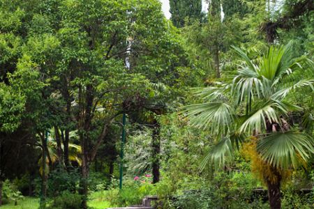 Территория