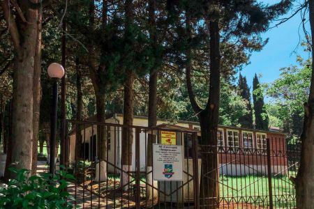 Внешний вид