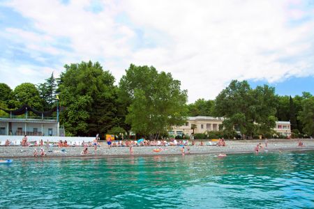 Внешний вид