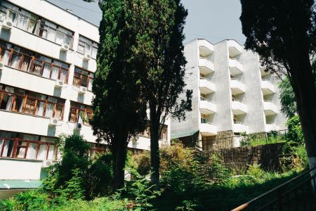 Внешний вид