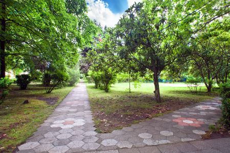 Внешний вид