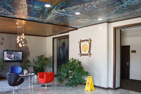 Внешний вид