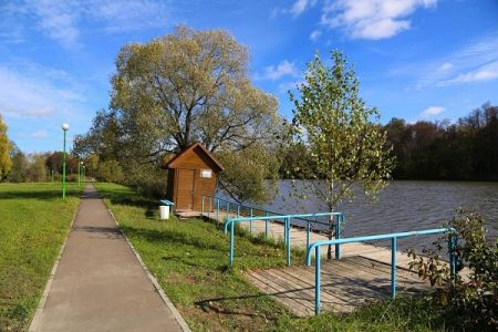 Внешний вид