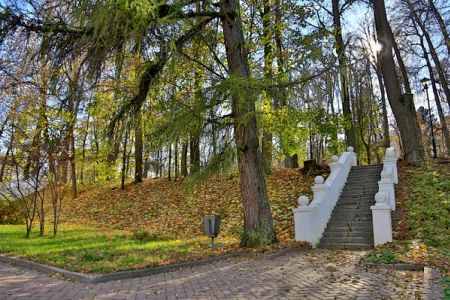 Внешний вид