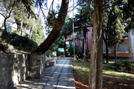 Территория