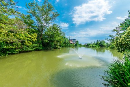 Территория