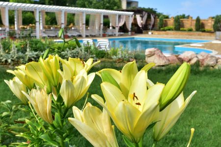 Внешний вид