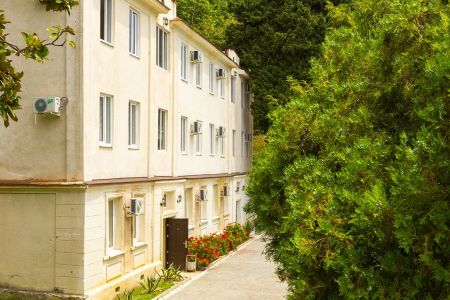 Внешний вид