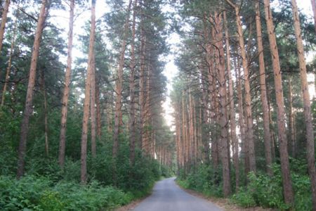 Территория