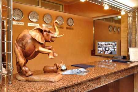 Внешний вид