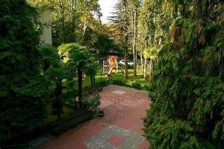 Внешний вид