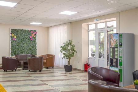 Внешний вид