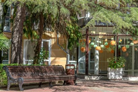 Внешний вид