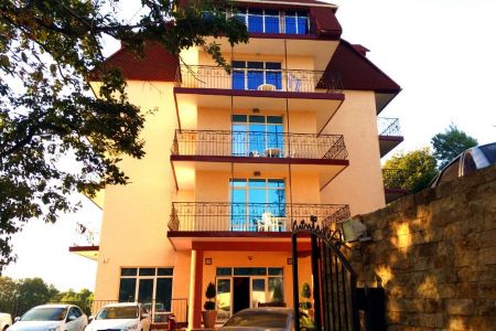 Внешний вид