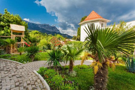 Внешний вид