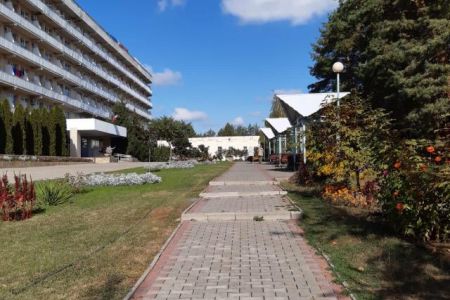 Внешний вид