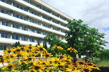 Внешний вид