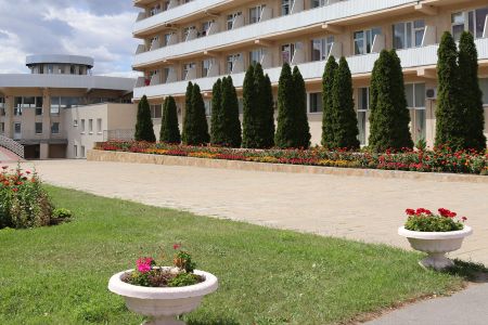 Внешний вид