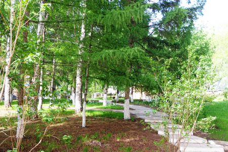 Внешний вид