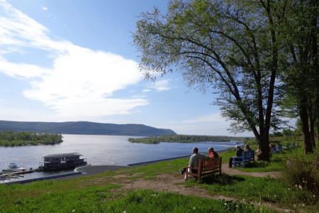 Внешний вид