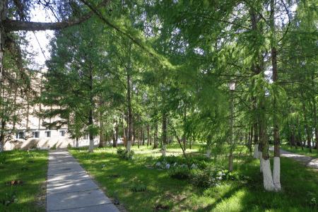 Внешний вид