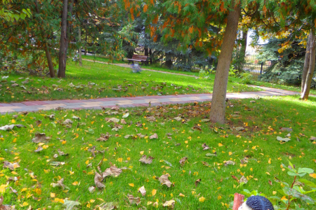 Внешний вид