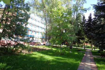 Внешний вид