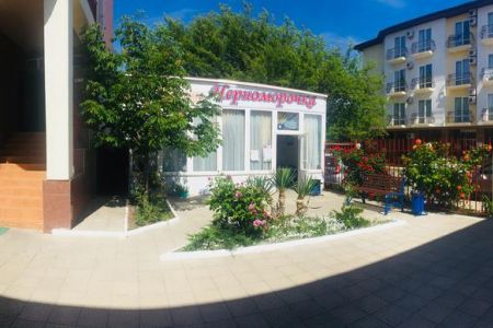 Внешний вид