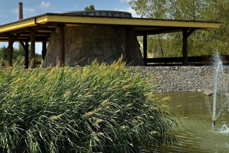 Территория