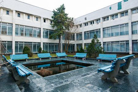 Территория