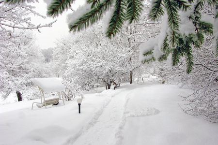 Внешний вид