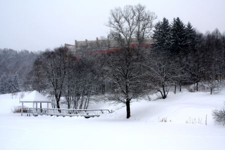 Внешний вид