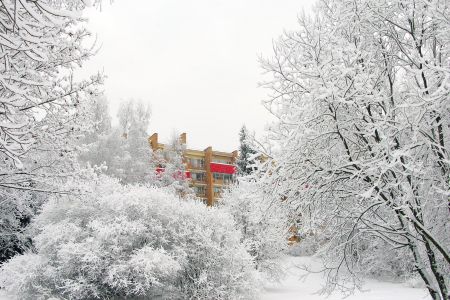 Внешний вид