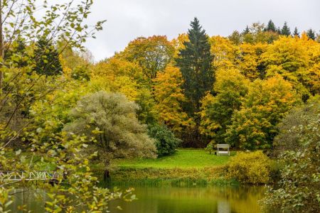 Внешний вид