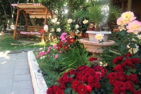 Внешний вид. Корпус