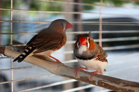 Детская площадка2