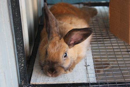 Детская площадка2