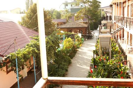 Внешний вид