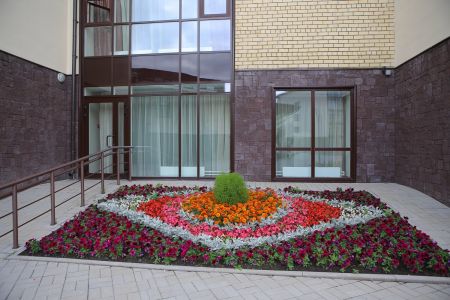 Внешний вид