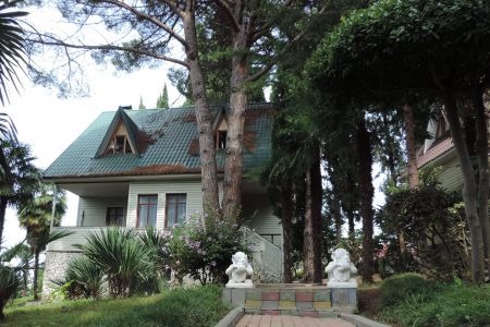 Внешний вид